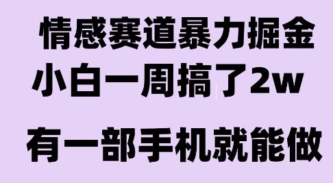 情感暴力掘金项目，新人操作一周挣了2W，长期稳定小白可做【揭秘】-默默网创