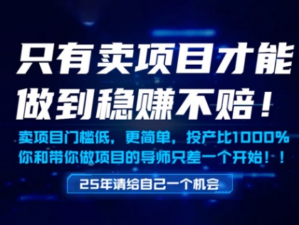 只有卖项目才能做到稳挣不赔，门槛低，更简单，你也可以年入百个W【揭秘】-默默网创