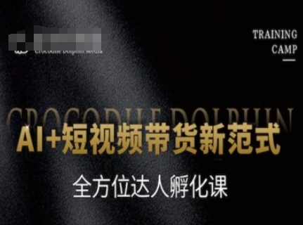 AI+短视频带货新范式，全方位达人孵化课-默默网创