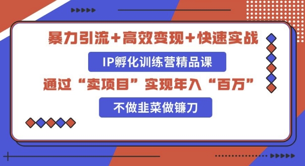 知识付费独家玩法：精准引流+高效变现，简单复制成功模式，最新IP共创导师训练营玩法-默默网创