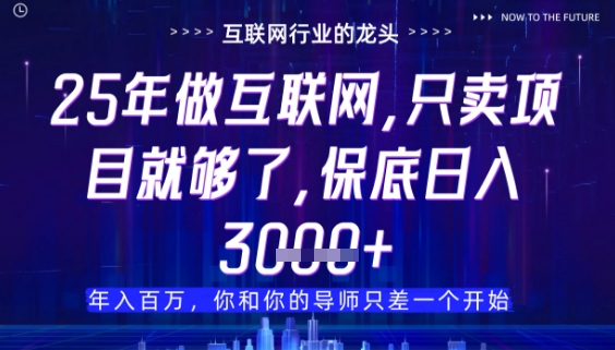 什么！25年你还在找项目做？风口早就变了，卖项目才是稳挣不赔【揭秘】-默默网创