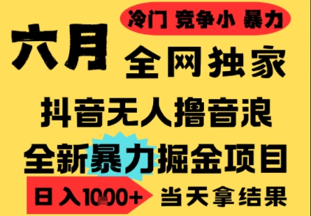 25年6月高爆抖音无人直播最新撸音浪掘金项目，小白可做，无脑日入1k+，门槛低可批量矩阵【揭秘】-默默网创