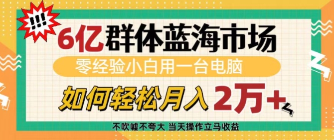 6亿群体蓝海市场，零经验小白用一台电脑，如何轻松月入过w【揭秘】-默默网创