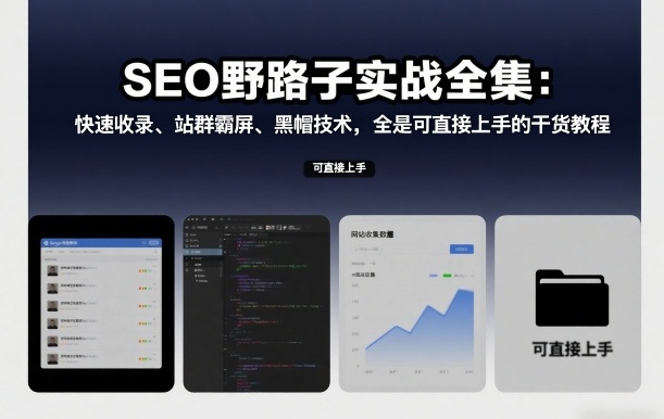 SEO野路子实战全集：快速收录、站群霸屏、黑帽技术，全是可直接上手的干货教程-默默网创