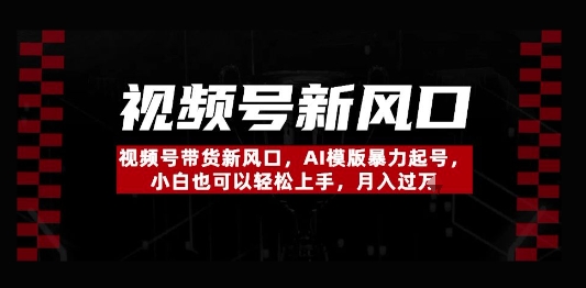 视频号带货新风口，AI模版暴力起号，小白也可以轻松上手，月入过W-默默网创