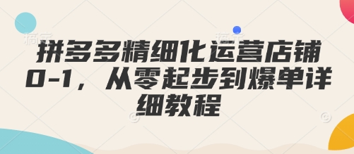 拼多多精细化运营店铺0-1，从零起步到爆单详细教程-默默网创