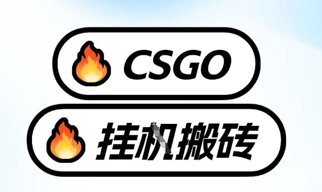 真全网独家CSGO挂G，最新玩法,单日捡漏1K+，不用电脑，不用打游戏【揭秘】-默默网创