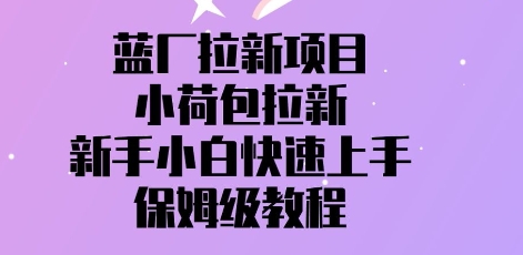蓝厂拉新项目，小荷包拉新，新手小白快速上手，保姆级教程-默默网创