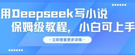 用Deepseek写小说，保姆级教程，小白可实操-默默网创