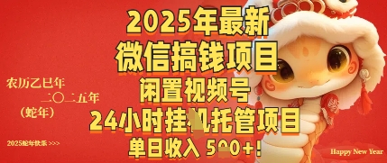 2025年最新微信搞钱项目，闲置视频号年24小时挂G托管项目，单日收入多张-默默网创
