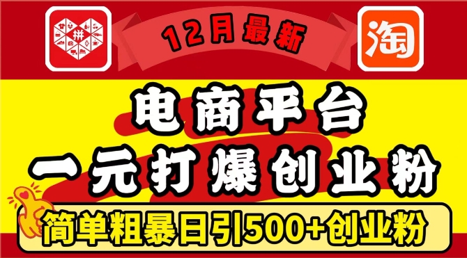 12月最新：电商平台1元打爆创业粉，简单粗暴日引500+精准创业粉，轻松月入过W【揭秘】-默默网创