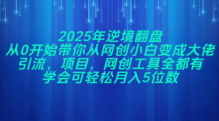 （14473期）2025年逆境翻盘，从0开始带你从网创小白变成大佬，引流，项目，网创工…-默默网创