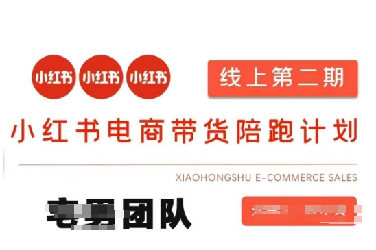 小红书电商带货课2期，月利润20个的小红书电商的有货源，无货源，虚拟产品，付费投流等整套玩法-默默网创