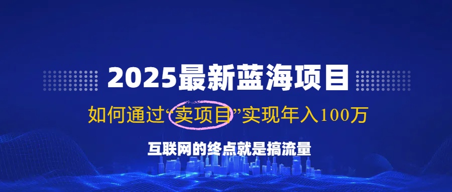（14305期）2025最新蓝海项目，零门槛轻松复制，月入10万+，新手也能操作！-默默网创