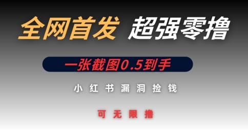 全网首发无限零撸捡钱项目，小红书一张截图0.5元可无限零撸-默默网创