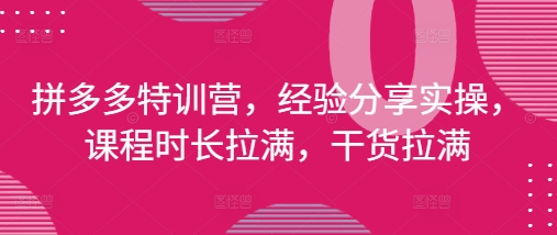 拼多多特训营，经验分享实操，课程时长拉满，干货拉满(更新25年4月)-默默网创
