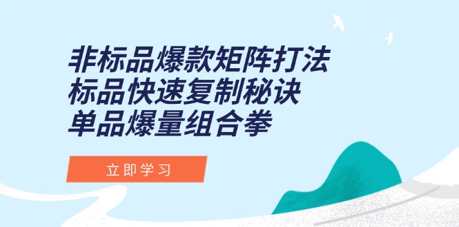 （15068期）非标品爆款矩阵打法，标品快速复制秘诀，单品爆量组合拳-默默网创
