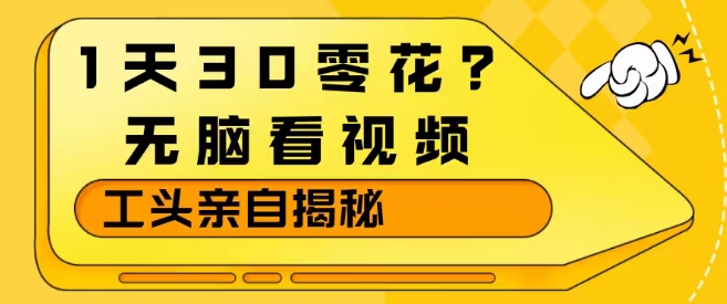 1天30零花？无脑看视频，大佬亲自揭秘-默默网创