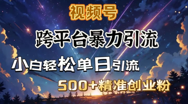 跨平台暴力引流，私域完美闭环，日引500+精准创业粉-默默网创