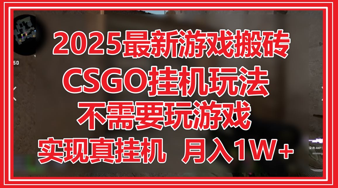 （14743期）2025最新游戏搬砖，CSGO挂机，不需要玩游戏，实现真挂机，月入1W+-默默网创