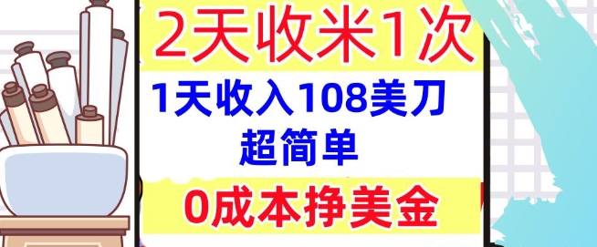 0成本挣美金，超简单，1天收入108刀，2天收米一次，实战教程，首次公开-默默网创