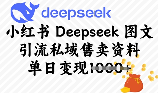 小红书Deepseek 图文引流私域售卖资料，单日变现多张-默默网创