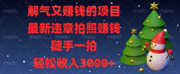解气又挣钱的项目，最新违章拍照挣钱，随手一拍，轻松收入数张【揭秘】-默默网创