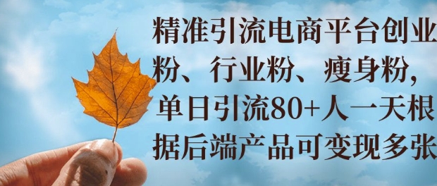 小投资撬动大收益，精准引流创业粉、行业粉，单日引流80+，一天可变现多张-默默网创